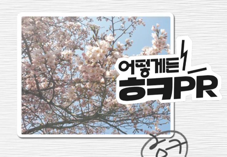 내가 찍은 벚꽃사진 디지털 자산 만들기(Feat.NFT)