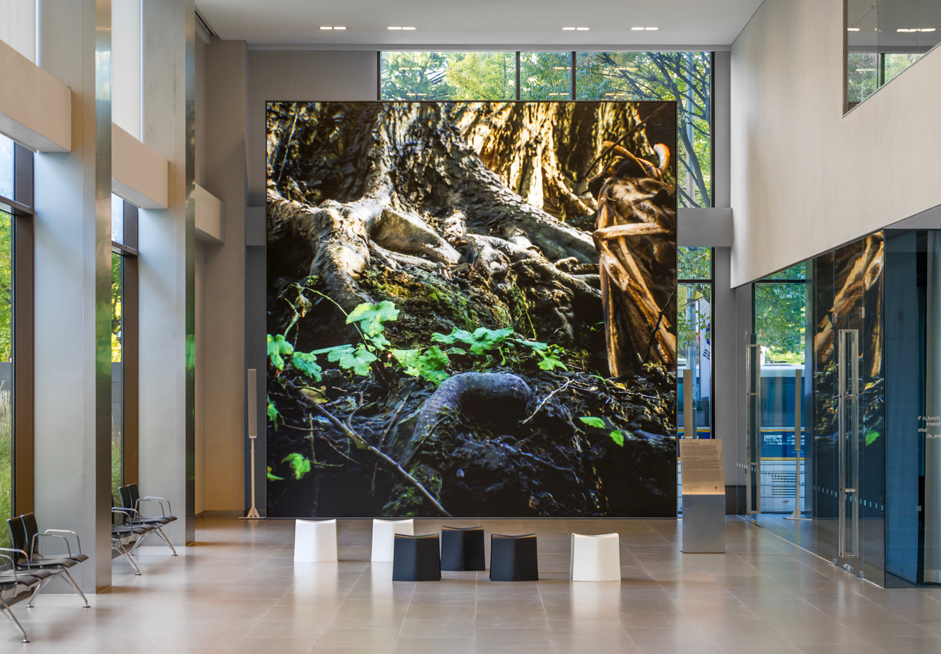 현대카드 MoMA 디지털 월, ‘Jakob Kudsk Steensen: Wetland’ 전시 개최